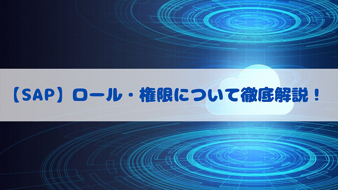【SAP】权限与角色全面解析！