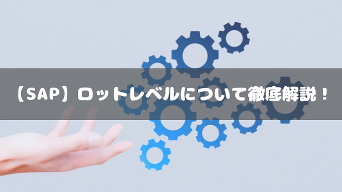 【SAP】ロットレベルについて徹底解説!