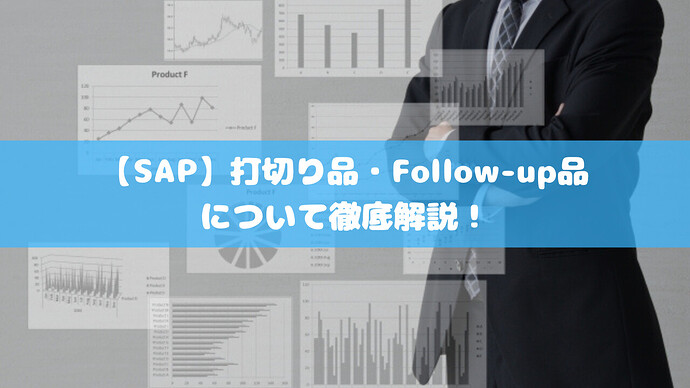 【SAP】打切品・Follow-up品について徹底解説!