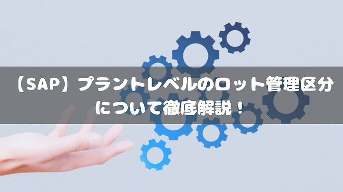 【SAP】プラントレベルのロット管理区分について徹底解説！